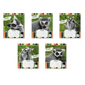 Тетрадь 18 листов в клетку, ErichKrause Lemur Style
