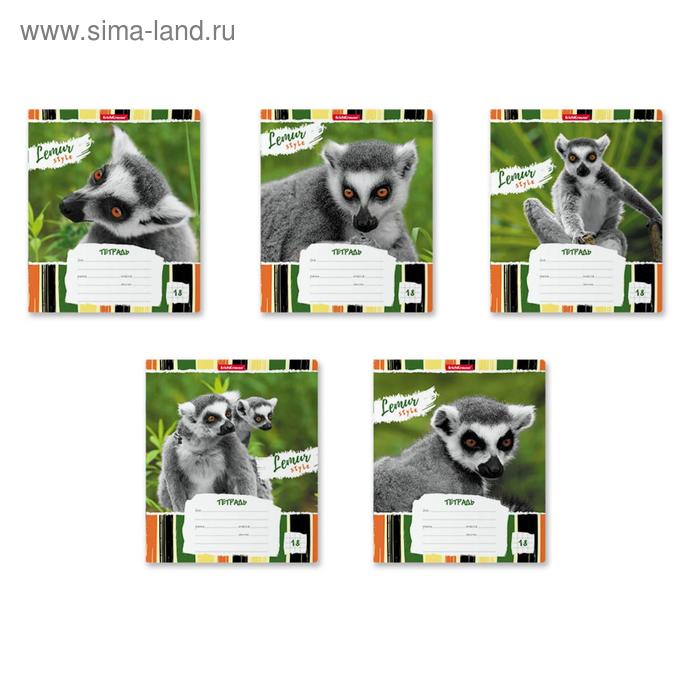 Тетрадь 18 листов в клетку, ErichKrause Lemur Style - Фото 1