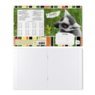 Тетрадь 18 листов в клетку ErichKrause Lemur Style, обложка мелованный картон, блок офсет 100% белизна, МИКС - Фото 3