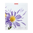 Тетрадь 48 листов в клетку ErichKrause Unique & Beautiful, УФ-лак, МИКС (комплект 5 шт) - фото 24420770