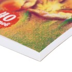 Альбом для рисования А4, 40 листов, на клею, ErichKrause «Цветущая Голландия», обложка мелованый картон, блок 120 г/м2 - Фото 2
