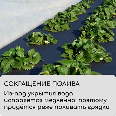 Материал мульчирующий, 5×3.2 м, плотность 60 г/м², спанбонд с УФ-стабилизатором, чёрный, Greengo, Эконом 30%