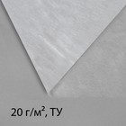 Материал укрывной, 5 × 3.2 м, плотность 20 г/м², спанбонд с УФ-стабилизатором, белый, Greengo, Эконом 30% - Фото 6