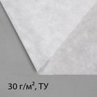 Материал укрывной, 5 × 3.2 м, плотность 30 г/м², спанбонд с УФ-стабилизатором, белый, Greengo, Эконом 20% - Фото 6