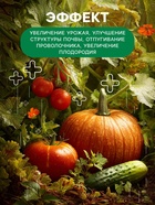 Органическое удобрение Биогумус Универсальное, концентрат, Ивановское, канистра, 3 л 4859925 - фото 16597231