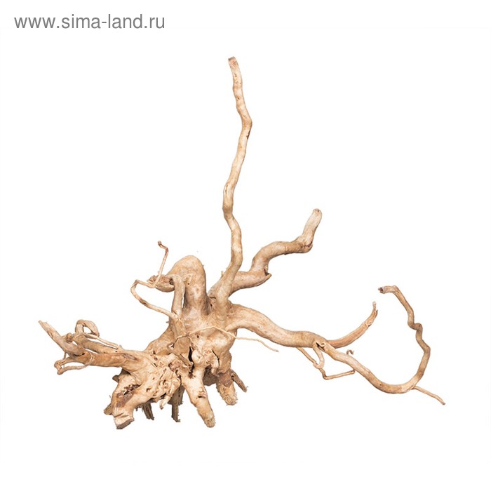 Декорация природная PRIME «Коряга сакура» размер S, 20-30 см - Фото 1