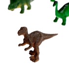 Развивающий набор «Мир динозавров», бассейн, гидрогель, фигурки, карточки, по методике Монтессори - фото 3852070