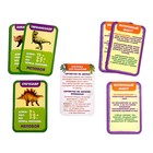 Развивающий набор «Мир динозавров», бассейн, гидрогель, фигурки, карточки, по методике Монтессори - Фото 6