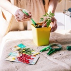 Набор посадочного инструмента: конус - 2 шт., сеялка, пикировщик, пластик, Greengo - Фото 8