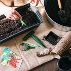 Набор посадочного инструмента: конус - 2 шт., сеялка, пикировщик, пластик, Greengo - Фото 10