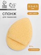 Спонж для умывания «Капелька», 9×6 см, с карманом, МИКС - Фото 1