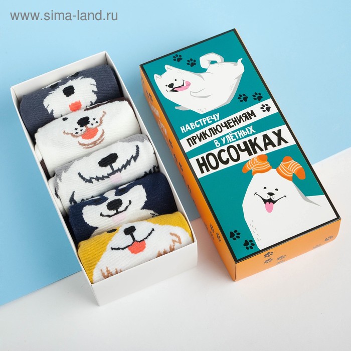 Носки детские «В улетных носочках» 5 пар, 22-24 см, хлопок - Фото 1