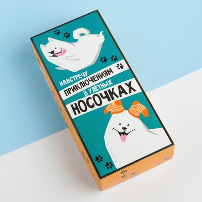 Набор детских носков KAFTAN «В улетных носочках», 5 пар, размер 22-24