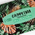 Салфетки бумажные в коробке «Тропики», 100 шт, двухслойные - Фото 4