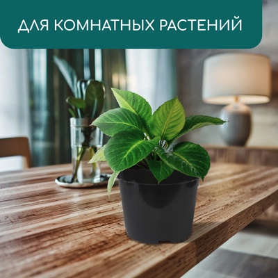 Горшок для рассады, 10 л, d=29 см, h=22.5 см, чёрный, Greengo