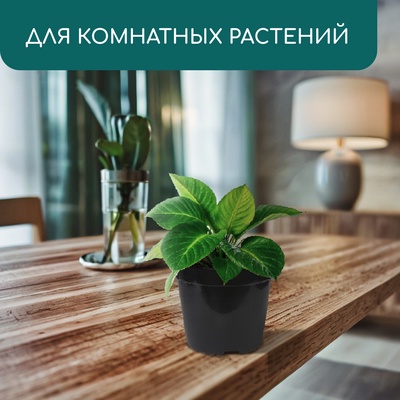 Горшок для рассады, 2 л, d=17.5 см, h=13 см, пластик, чёрный, Greengo