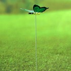 Декор садовый Бабочка микс, штекер 25 см - Фото 4