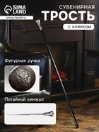 Сувенирная трость с клинком 30 см, набалдашник: Герб РФ - Фото 1