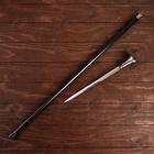 Сувенирная трость с клинком 30 см, набалдашник: Герб РФ - Фото 4