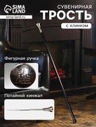 Сувенирная трость с клинком 30 см, набалдашник: Санкт-Петербург - Фото 1