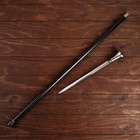 Сувенирная трость с клинком 30 см, набалдашник: Санкт-Петербург - Фото 2