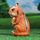 Садовая фигура "Бурундук Боря" 10х16х19см - Фото 2