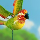 Декор садовый Попугай красноголовик микс, штекер 60 см - Фото 2