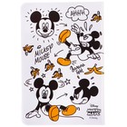 Паспортная обложка, Микки Маус - Фото 5