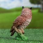 Садовая фигура из гипса «Сова», 17×11×8 см - Фото 3