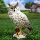Садовая фигура из гипса «Сова полярная», 17×11×8 см - Фото 1