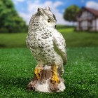 Садовая фигура из гипса «Сова полярная», 17×11×8 см - Фото 2