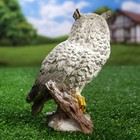 Садовая фигура из гипса «Сова полярная», 17×11×8 см - Фото 3