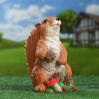 Садовая фигура "Белка с шишками" 24х14х19см - Фото 4