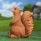 Садовая фигура "Белка с шишками" 24х14х19см - Фото 5