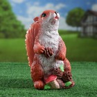 Садовая фигура "Белка с шишками" 24х14х19см - Фото 1