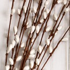 Набор пасхальный "Вербное воскресенье" верба с фетровой подвеской - фото 24606762