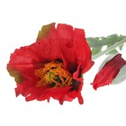 цветы искусственные мак 83 см красный - Фото 2