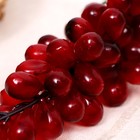 Муляж "Виноград овальный" 24 см 60 ягод, микс - фото 9757986