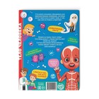 Энциклопедия в твёрдом переплёте «Тело человека», 48 стр. - Фото 8