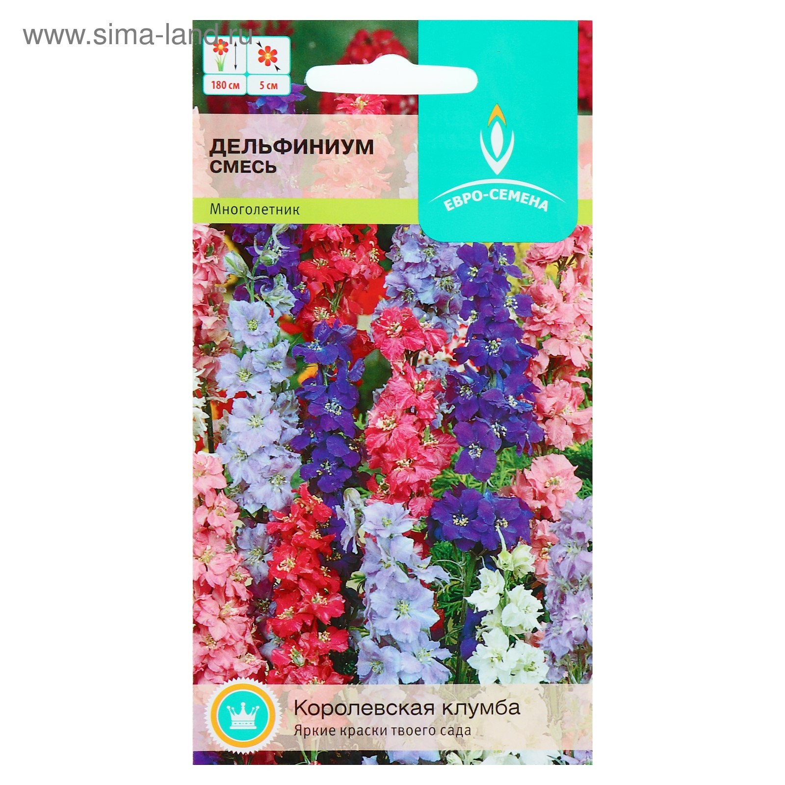 Дельфиниум многолетний семена фото Дельфиниум многолетний семена фото