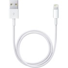 Кабель Apple (ME291ZM/A), Lightning - USB, 0.5 м, белый - фото 51478878