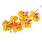 цветы искусственные орхидея 66 см оранжевая - Фото 1