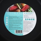 Сковорода Катунь «Общепит», d=30 см, толщина корпуса 0.6 мм, дно 3.5 мм, капсульное дно, антипригарное покрытие, индукция, нержавеющая сталь - Фото 6