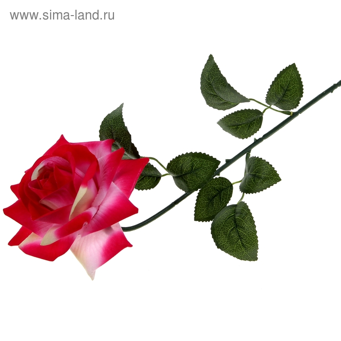 цветы искусственные роза бархат 62 см, d-12 см малиновая - Фото 1