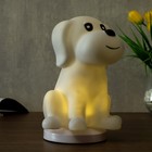 Фигурка светящаяся RISALUX «Собачка», от USB LED-ночник, RGB, батарейки 3×AAA, белый, 13×15xx20 см - фото 38677775