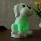Фигурка светящаяся RISALUX «Собачка», от USB LED-ночник, RGB, батарейки 3×AAA, белый, 13×15xx20 см - фото 38677777