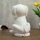 Фигурка светящаяся RISALUX «Собачка», от USB LED-ночник, RGB, батарейки 3×AAA, белый, 13×15xx20 см - фото 38677779