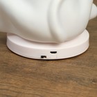 Фигурка светящаяся RISALUX «Собачка», от USB LED-ночник, RGB, батарейки 3×AAA, белый, 13×15xx20 см - фото 38677780