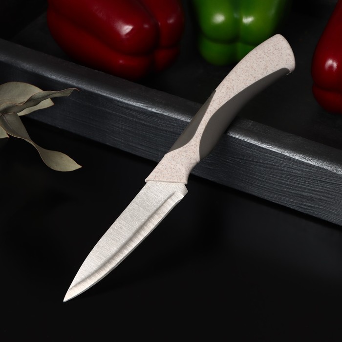 Нож для овощей кухонный Доляна «Мезури», лезвие 9,5 см, цвет МИКС - Фото 1