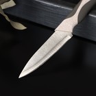 Нож для овощей кухонный Доляна «Мезури», лезвие 9,5 см, цвет МИКС - Фото 2